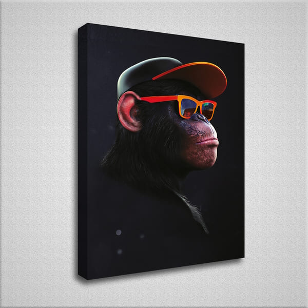Affe mit Sonnenbrille | Juliano Araújo