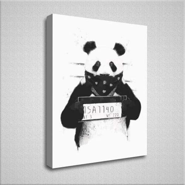 Panda Bundle